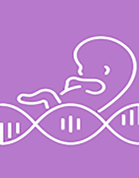Ginecología ::: PRENATAL